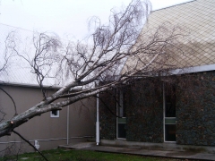 01.08.08 Storm Hits Nelson 023