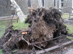 01.08.08 Storm Hits Nelson 026