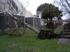 01.08.08 Storm Hits Nelson 028