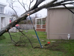 01.08.08 Storm Hits Nelson 039