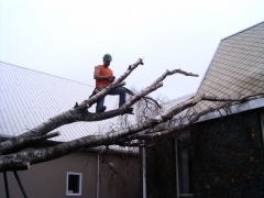 01.08.08 Storm Hits Nelson 043
