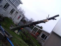 01.08.08 Storm Hits Nelson 051